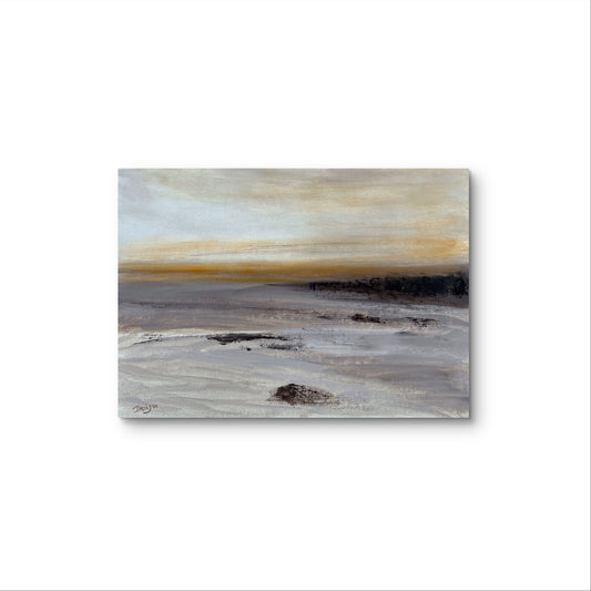 The Beachcombers